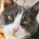 AkemiMIller - @AkemiMiller - Twitter