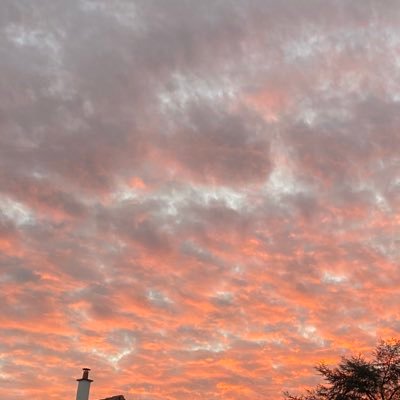 heigye's profile picture. Memecoins Slatt 2024 !