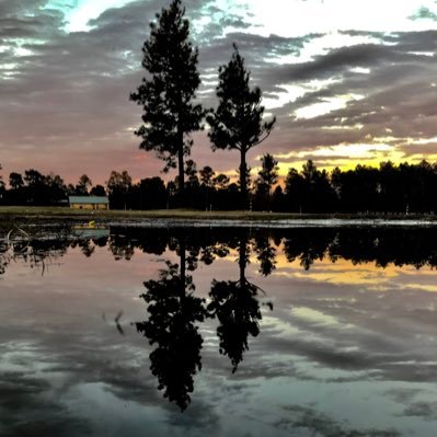 EMC_Cech's profile picture. …