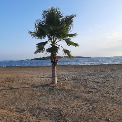 enginbyka's profile picture. Öğretim üyesi, Matematik.