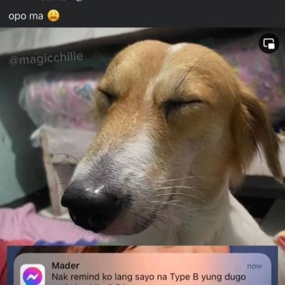 knatb_'s profile picture. 