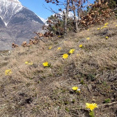 BWillarts's profile picture. 