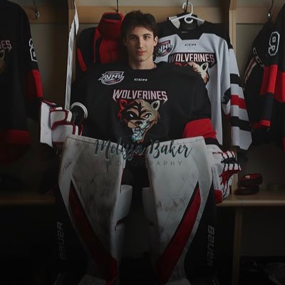 Whitecourt Wolverines, Harvard Commit