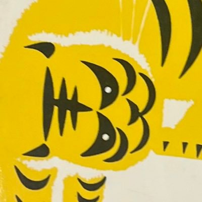 skypolity's profile picture. who salutes whom exactly?