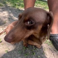 :) (@ilikedaisyss) 's Twitter Profile