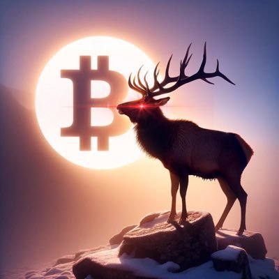 CryptoBow82 Profile Picture