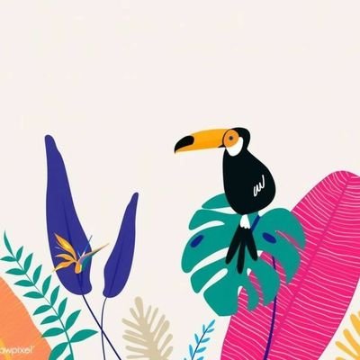 d3ddy_b's profile picture. Keep Learning