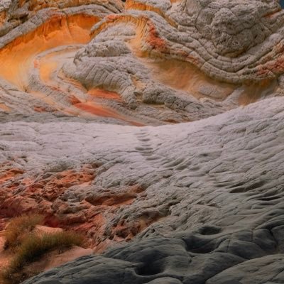 12porkblancos's profile picture. 