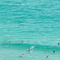 Ana Nicolau (@and_says_) 's Twitter Profile