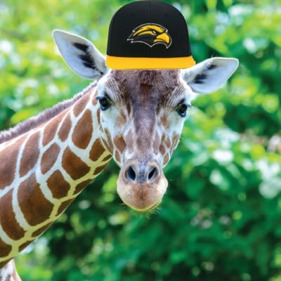 TheLawGiraffe Profile Picture