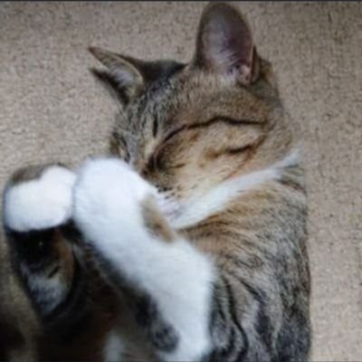 ymatu1's profile picture. 泪の数以上に輝いている佐々木優佳里ちゃんを応援するのみ🍀