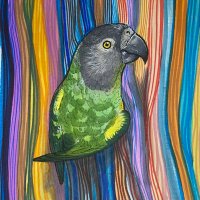 AmysBirdHouse (@amysbirdhouse) 's Twitter Profile