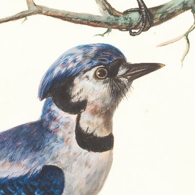 NeonLuna87's profile picture. the world one pixel at a time.