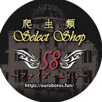 58〜ファイブ・エイト〜(公式) (@reptiles58_2022) 's Twitter Profile Photo 58〜ファイブ・エイト〜(公式) (@reptiles58_2022) 's Twitter Profile Photo