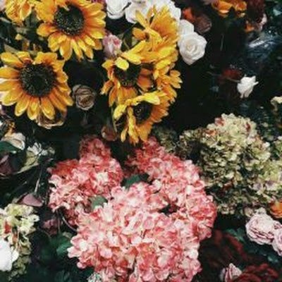 Moopudding0207's profile picture. 