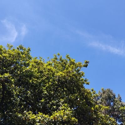 munaepl's profile picture. 𝐬𝐥𝐨𝐰𝐰𝐰 𝐚𝐦𝐚𝐧 𝐚𝐣𝐚𝐡𝐡𝐡