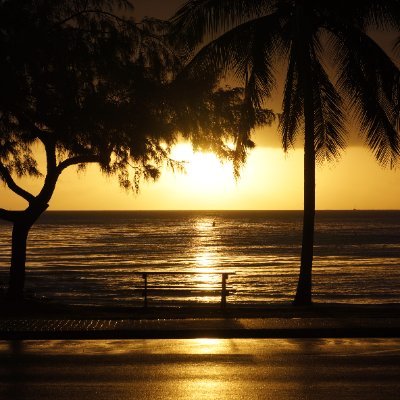 kozumin3128's profile picture. 投資初心者／40歳で投資開始／新NISAでは楽天S&P500とニッセイナスダック100を半分ずつ/iDeCo満額／ジュニアNISA3人×2年でレバナス／ツミauレバ／TECLやSOXLなどの3倍ETFでスイング