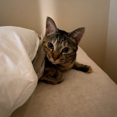 k_o_m_u_g_i25's profile picture. 2021年春から韓ドラ視聴→JUNHO 🐧&2pmペンに🥰 #韓国ドラマ好き💛