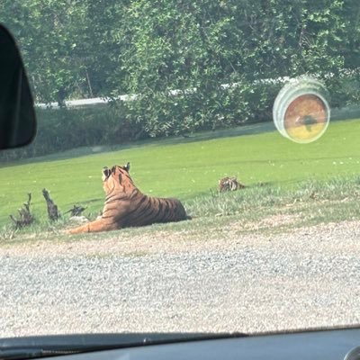 Pakiteacher786's profile picture. Friendsofpakistani