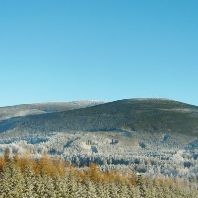 Ekonomika, byrokracie, akcie, životní prostředí