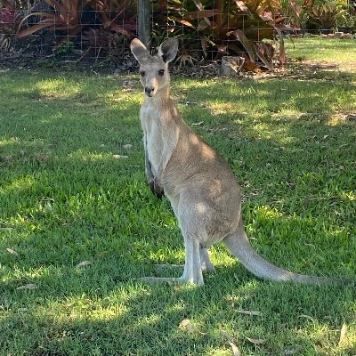 SamW148072's profile picture. Golf, AFL - Carlton , Cricket,  dog lover
Enjoying life