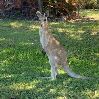 Sam (@samw148072) 's Twitter Profile