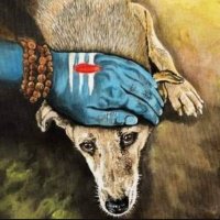 Rohit Jadhav (@si_trite87) 's Twitter Profile