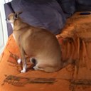 jared casey - @JaredJcpod - Twitter