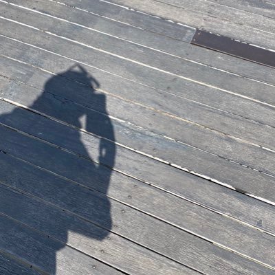 swiaka's profile picture. (on and off)