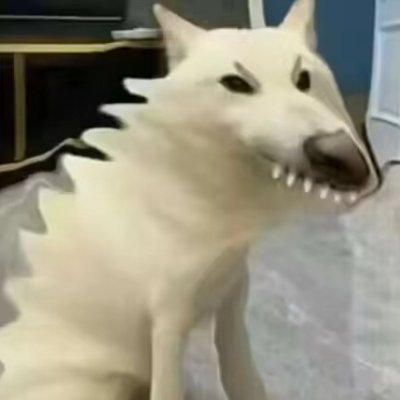 axiaokitty's profile picture. 