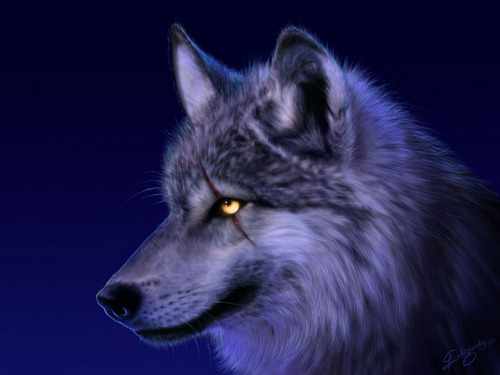 wolf is my name, mystery is my game