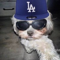 . (@squirrely_jayy) 's Twitter Profile