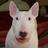 Glenn Gehringer (@pittsburgher72) Twitter profile photo