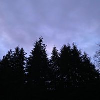 Zjumpy (@zanderjump) 's Twitter Profile