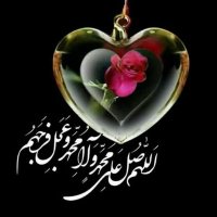 zeynab Emantalab (@zimantalab) 's Twitter Profile