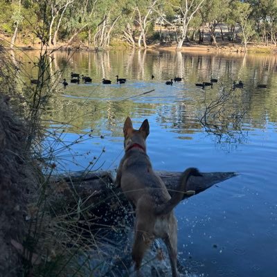 itissimple_'s profile picture. 