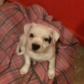 andyjay203's profile picture. 