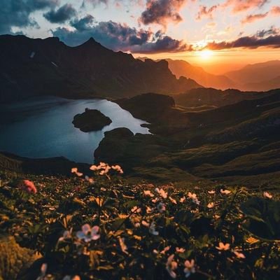 SakiSakiGa's profile picture. 🤑