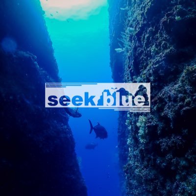 seek_blue_ Profile Picture