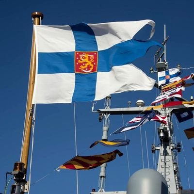 🇫🇮🇪🇺 Maalla, merellä ja ilmassa. One of 1 million Finnish NATO reservists.
Nonsense-intolerant.
This is the way.