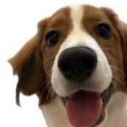 人生楽しく悔いなく生きるのだ /🦄エンゼルス永遠に大好き/GoHalos/レンドン大好き/デコピン🐶/ファナティコ/ESFP/LIVE行きます/洋楽/365日飲酒