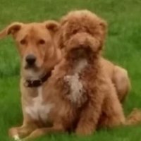 Julie2 😀 (@julie229404878) 's Twitter Profile Photo