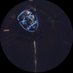 A_UniqueEnigma🛸 (@haus_of_el) Twitter profile photo A_UniqueEnigma🛸 (@haus_of_el) Twitter profile photo