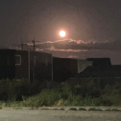 Tt6Ur's profile picture. 売るか買うかしかしないやつです