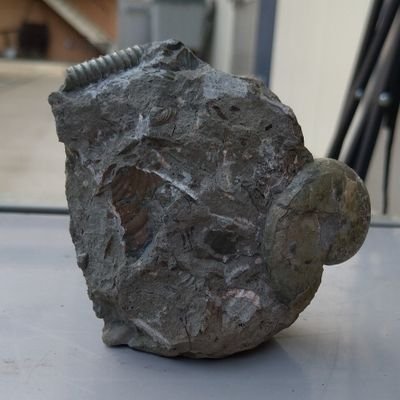 今は地質学やってます。化石・貝・鉱物・地質などが好きです。気が向いたらアップします
海洋大天文地学/東大地質