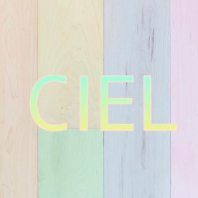 CIELはオールラウンドサークル✨季節に沿ったイベントを開催🎄⛷️🏖️🎢インカレなのでどこの学生でも参加可能🙋♀️ミスコン応援📣新歓にはインスタグラマー、tiktokerなどのインフルエンサーも多数参加!参加人数満足度No1✨ お酒飲めない方でも安心して参加できますよ😉