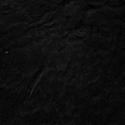 g_ulei's profile picture. 