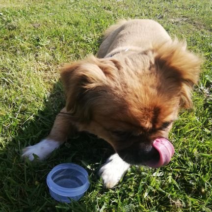 phukasia1's profile picture. Polka, patriotka. Moje tweety to moja prywatna opinia.
#Trzaskowski2025