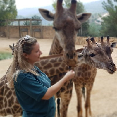 International Relations Manager, Tisch Family Zoological Gardens and Gottesman Family Israel Aquarium, Jerusalem.
Former PM Advisor on Diaspora Affairs.