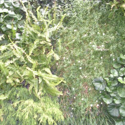 pauepaue's profile picture. 